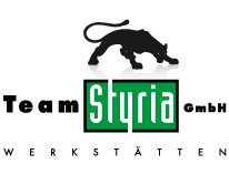 Das Logo der Team Styria Werkstätten GmbH